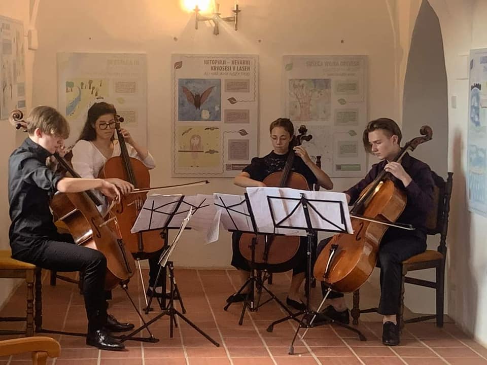 glasbeno poletje